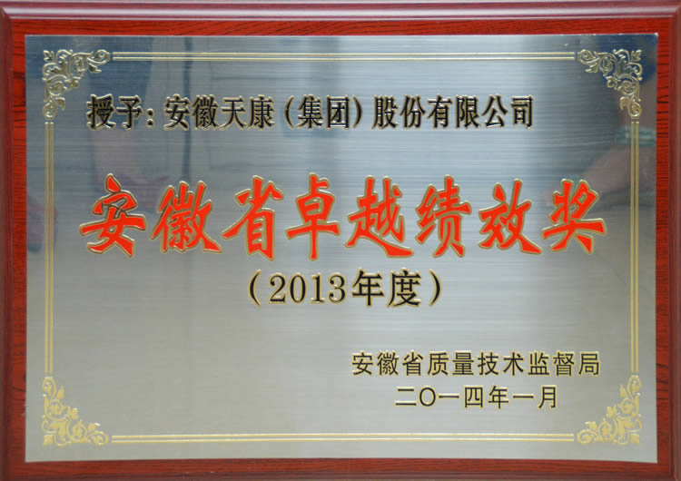 ʡ׿ԽЧ2013